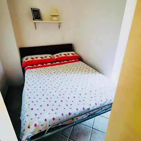 Alba Rosa Niususu Lanusei