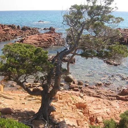 Alba Rosa Niususu Appartement