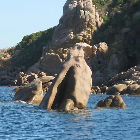 Apartamento Alba Rosa Niususu *