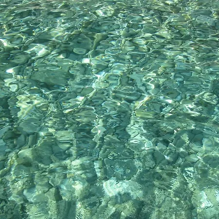 Alba Rosa Niususu Apartamento Lanusei